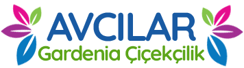 Avcılar çiçekçi, Avcılar Çiçek Siparişi, Avcılarda Yakın Çiçekçi